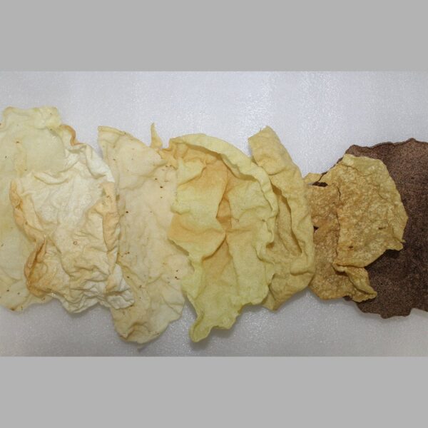 7 વેરાયટી ખીચીયા પાપડ-(ટ્રાયલ પેક 20pcs)7 વેરાયટીઓ, 20 પળો તંદુરસ્તી અને સ્વાદની!