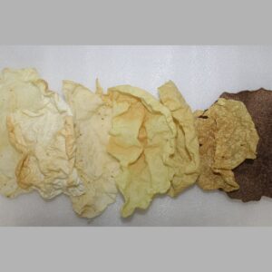 7 Varieties ( 7 pkts of 3 each, 20pcs) khichiya papads-7 Healthy Varieties, 20 Crispy Moments of Taste & Wellness!"